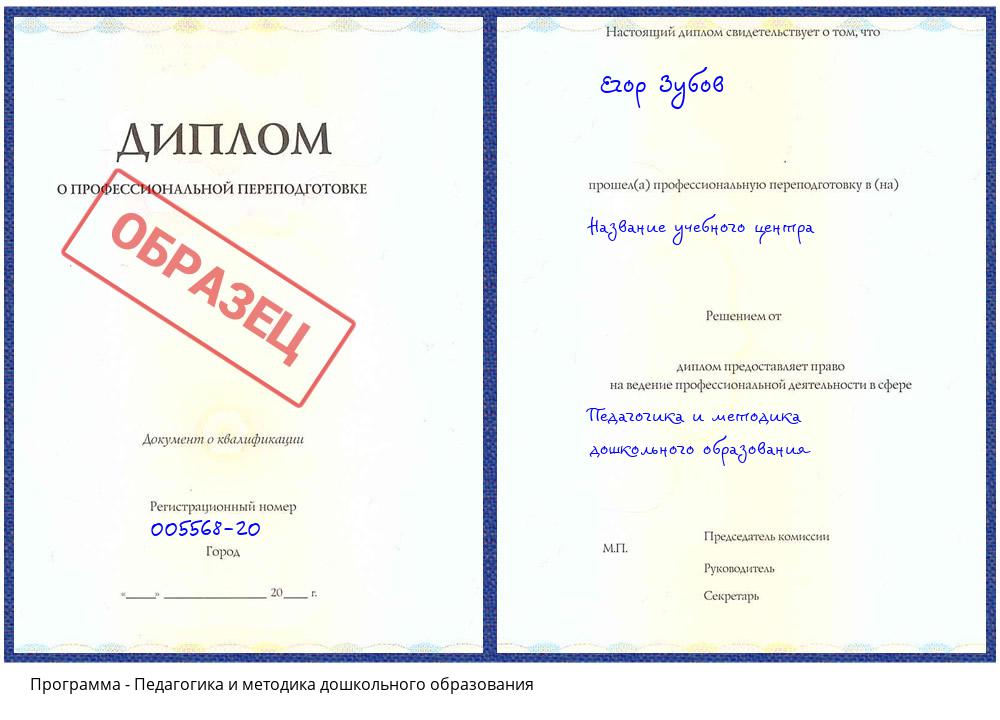 Педагогика и методика дошкольного образования Ярцево