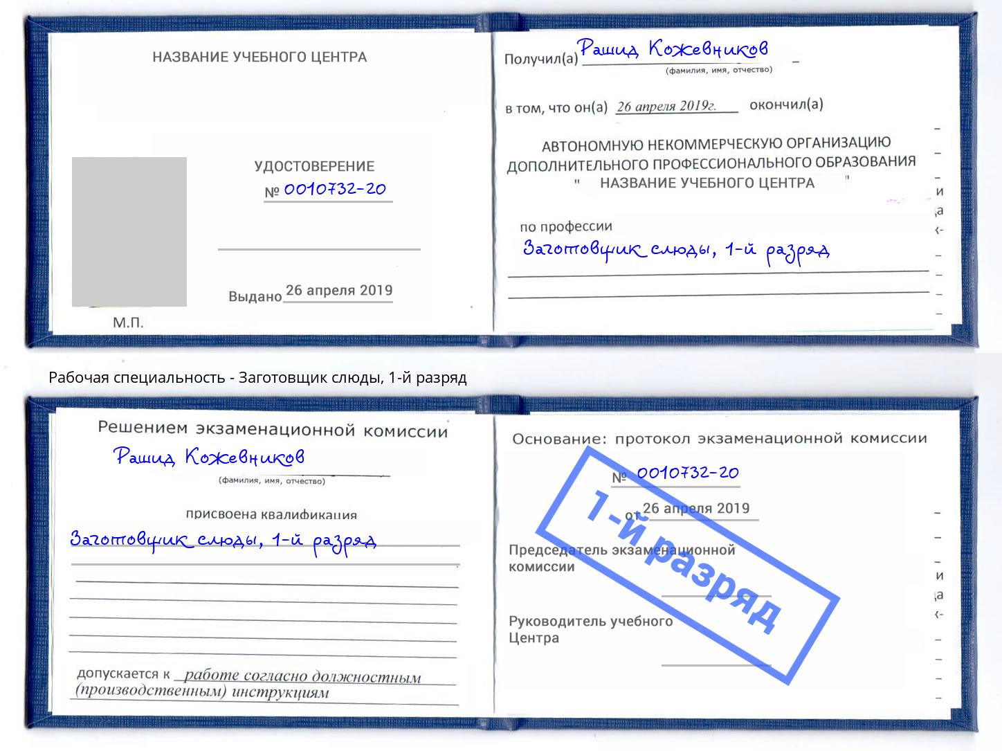 корочка 1-й разряд Заготовщик слюды Ярцево